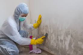 Best Mold Removal for HVAC Installations  in Hartselle, AL